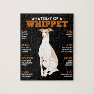Hundegeschenk  Anatomie eines Hundes oder lustiges
