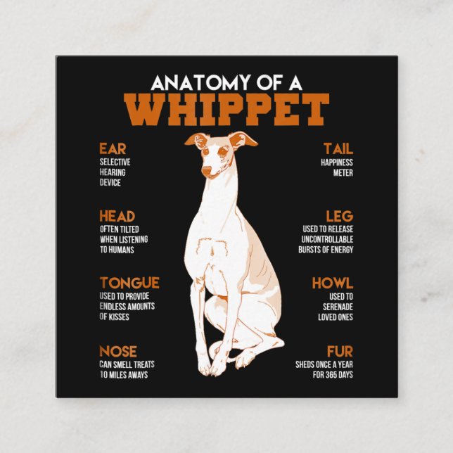 Hundegeschenk| Anatomie eines Hundes oder lustiges Quadratische Visitenkarte (Vorderseite)