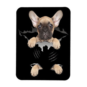Hundegeschenk French Bulldog Puppy Gift Magnet