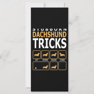 Hundegeschenk Tricks für stubgeborene Dackeln