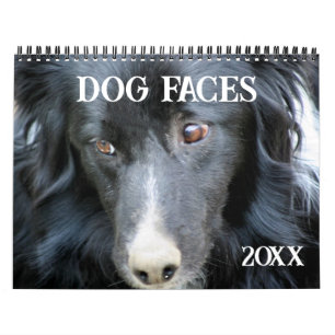 Hundegesichter und Gesichtsausdrücke Kalender