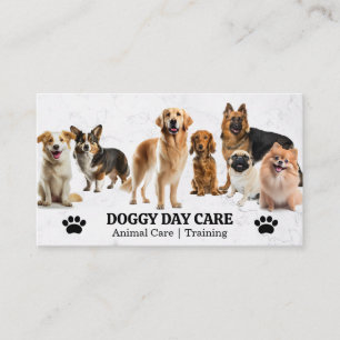 Hundegruppe Tierpflege Ausbilder Visitenkarte