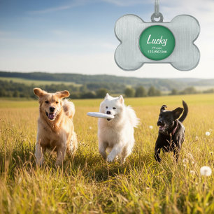 Hundehalsband-ID-Tag für Haustiere   Anpassbarer S Tiermarke
