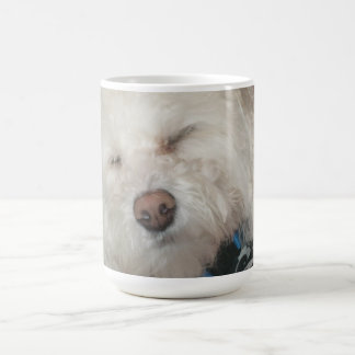 Hundekaffee-Tasse Kaffeetasse