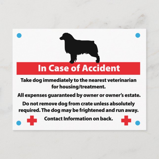 Hundekäfigkarte im Notfall: Aussie Postkarte (Vorderseite)