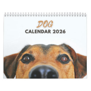Hundekalender 2026 kalender