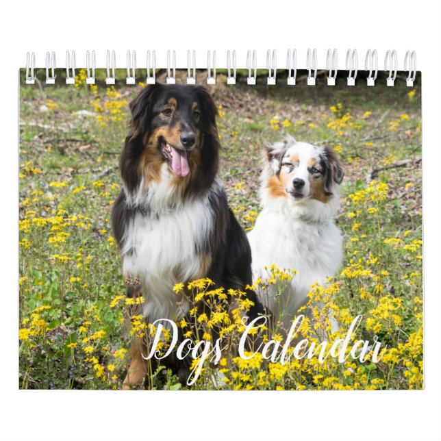 Hundekalender Kalender (Titelbild)