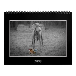Hundekalender Kalender
