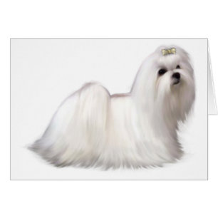 Hundekarte