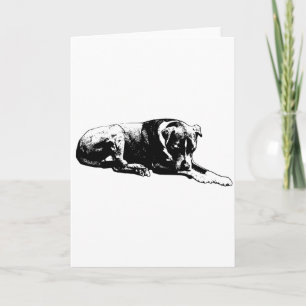 Hundekarte löschen karte