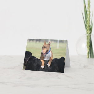 Hundekarten - ich got Ihre Rückseite Karte