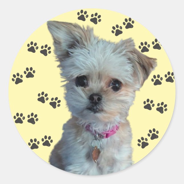 Hundekleber Runder Aufkleber (Vorderseite)