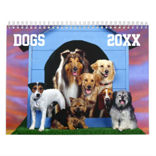 Hundekundengerechter Kalender