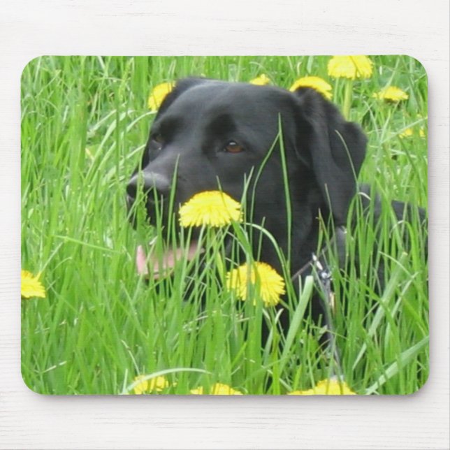 HUNDElabrador retriever-SCHWARZES Mousepad (Vorne)