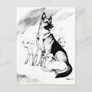 Hundeleben, die Uhr des Meisters Postkarte