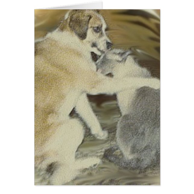 HundeLiebekatze (Vorne)