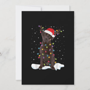 Hundeliebhaber   Chocolate Labrador Retriever Weih Karte