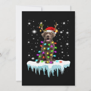 Hundeliebhaber   Chocolate Labrador Weihnachtslich Karte