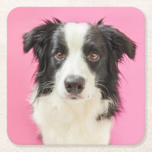 Hundeliebhaber Rosa Welpe Border Collie Rechteckiger Pappuntersetzer