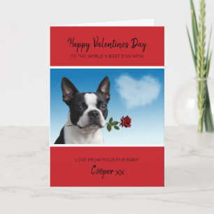 Hundemama Valentinstag von Boston Terrier mit Rose Feiertagskarte