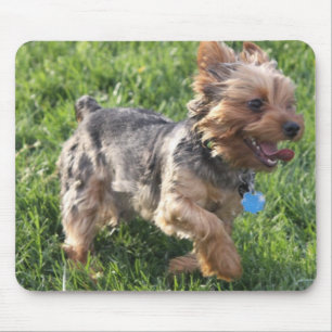 Hundemausunterlage Yorks Terrier Mousepad