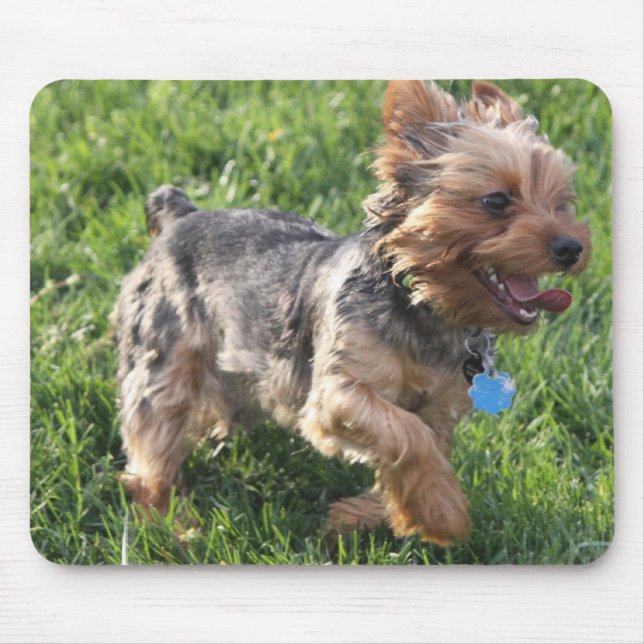 Hundemausunterlage Yorks Terrier Mousepad (Vorne)