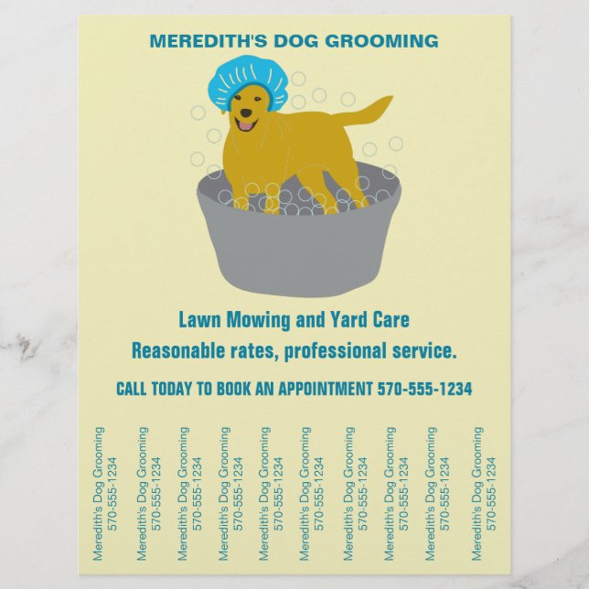 Hundemütigende Hundegroomere reißen die Streifen a Flyer (Vorne)