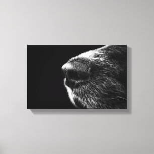 Hundenasen-eingewickelte Leinwand