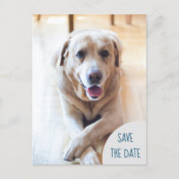 Hundenkündigung Save the Date Hochzeitsskiosk Foto