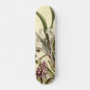 Hundentooth-Skateboard Skateboard