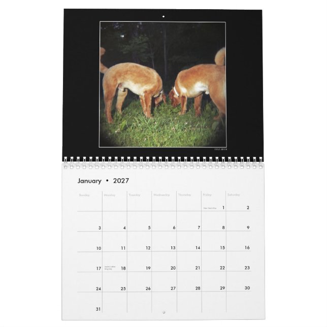 Hundepark-Farbkalender 2 Kalender (Jan 2027)