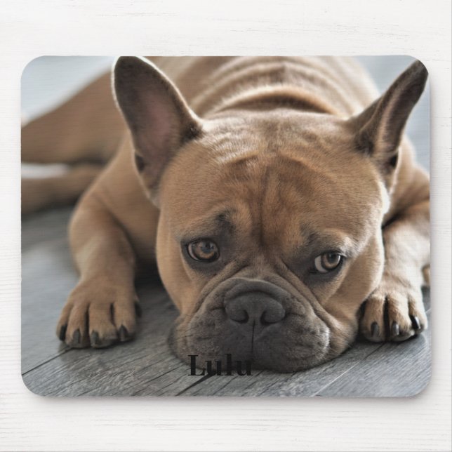 Hundepersonalisiertes Foto Mousepad (Vorne)