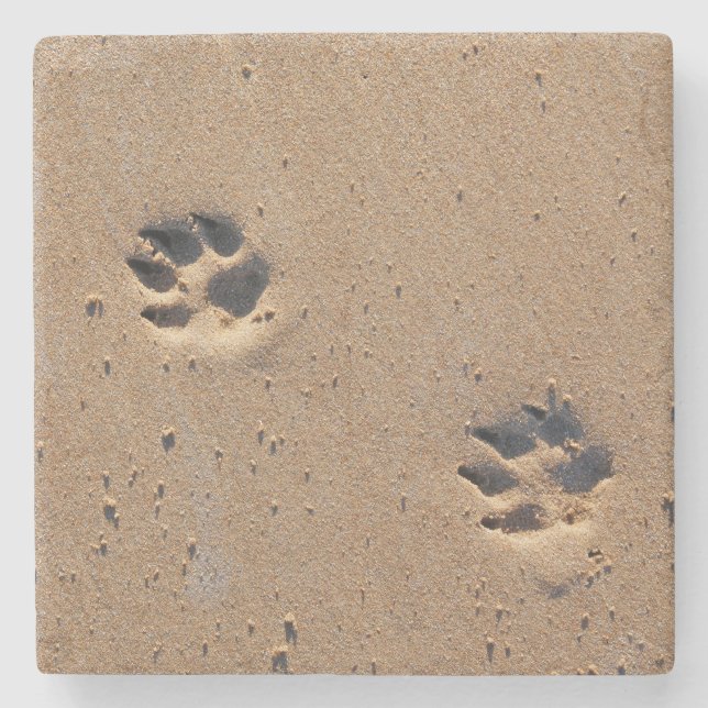 Hundepete druckt auf einem Sandstrand Steinuntersetzer (Vorderseite)