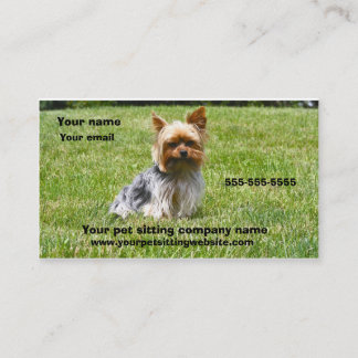 Hundephotographie-Haustierpflege-Visitenkarte Visitenkarte