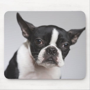 Hundeportrait Mousepad