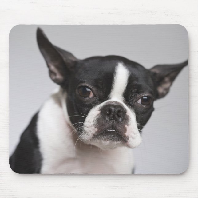 Hundeportrait Mousepad (Vorne)