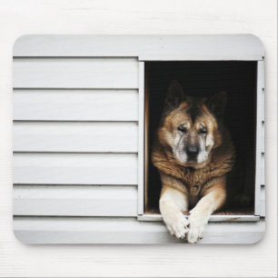 Hundeportrait Mousepad