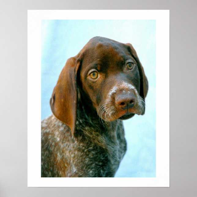 Hundeportrait Poster (Vorne)