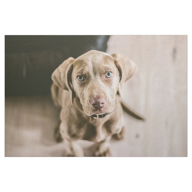 Hundeportrait Stoff (Yard (91,4 cm))