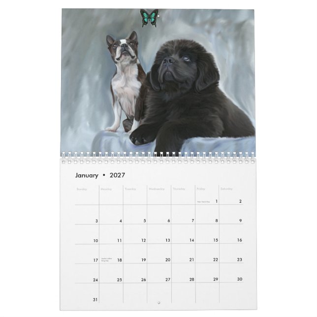Hundeporträt-Kalender Kalender (Jan 2027)
