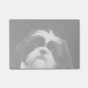 Hundepost-itanmerkungen Shih Tzu Post-it Klebezettel