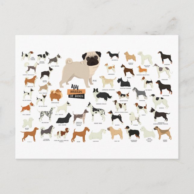 Hundepostkarte Feiertagspostkarte (Vorderseite)