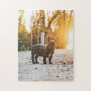 Hundepuzzles Tierbild Niedliche, schlaue Welpenfot