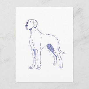 Hunderasse Deutsche Dogge Postkarte