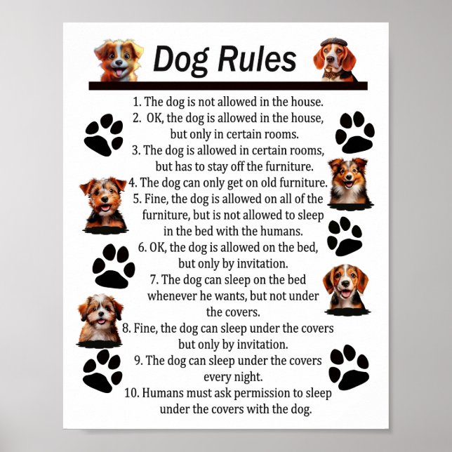 Hunderegeln - Für eine glückliche DOG-ZUHAUSE Poster (Vorne)