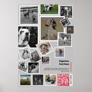 Hundergroßer Dogge-Welpe zu verkaufen Poster