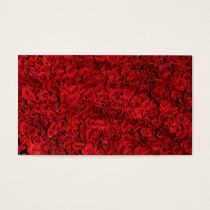 Hunderte schöne Rote Rosen