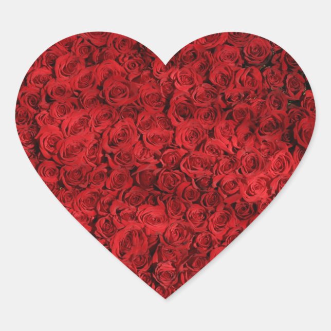 Hunderte schöne Rote Rosen Herz-Aufkleber (Vorderseite)