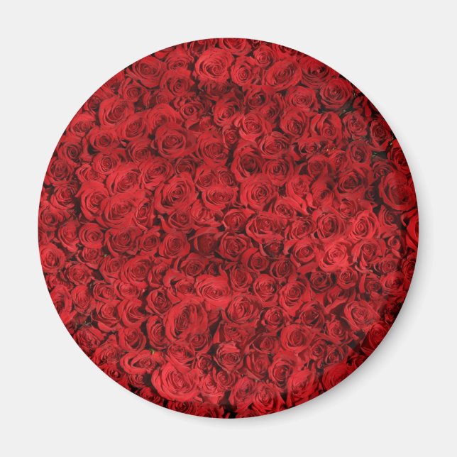 Hunderte schöne Rote Rosen Magnet (Vorne)
