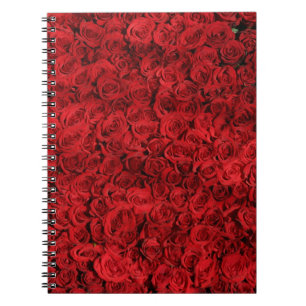 Hunderte schöne Rote Rosen Notizblock